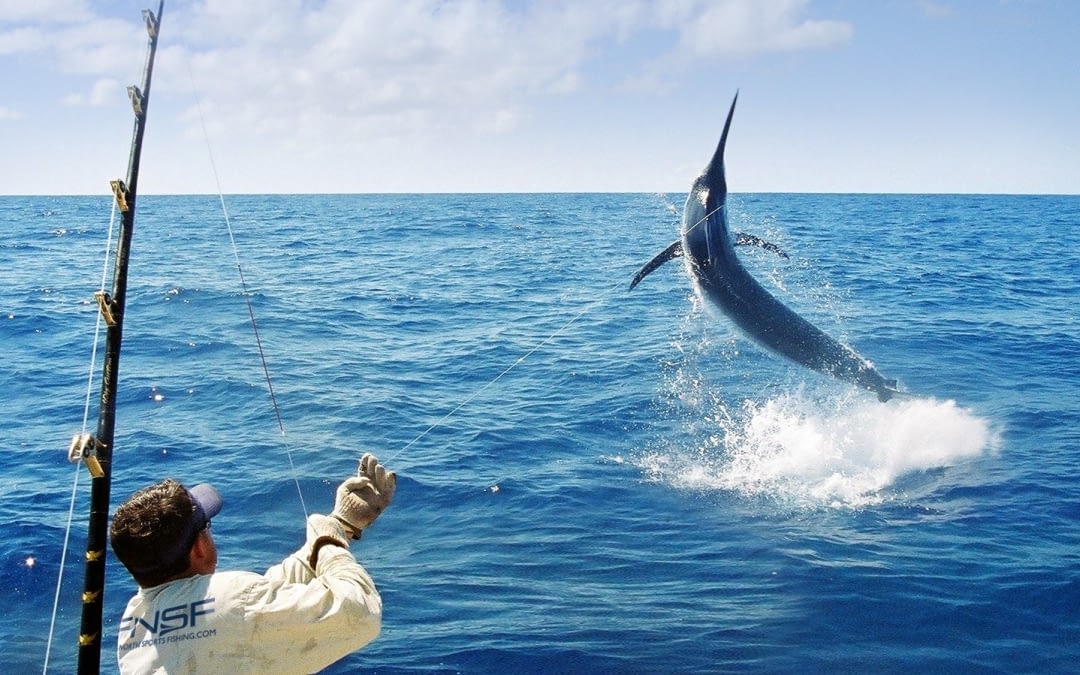 Enjoy Sport Fishing with Taxi on Corralejo