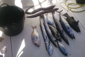 fishing Corralejo